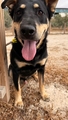 NERO Imagen 1